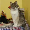 Отзыв от Альфия Зеленина